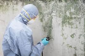 Best Forensic Mold Investigation  in Indian Shores, FL